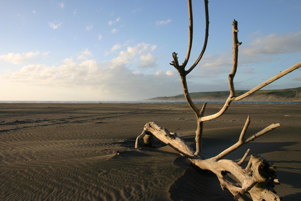 Port Waikato Holiday Park Dış mekan fotoğraf